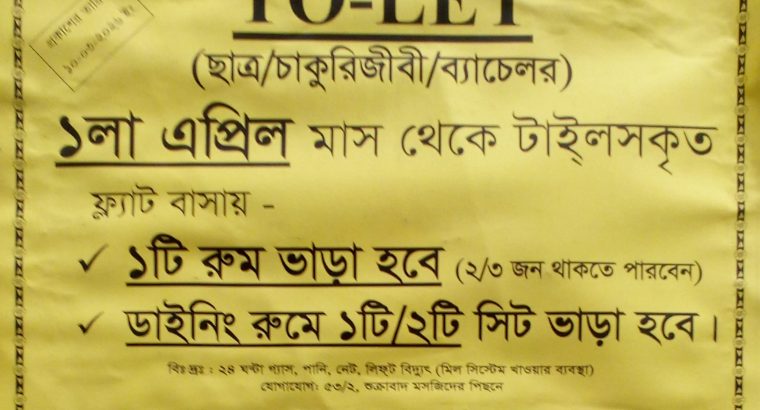 টাইলসকৃত ফ্ল্যাট বাসায় ১টি রুম ভাড়া হবে