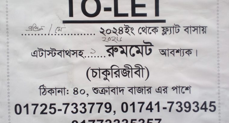 ফ্ল্যাট বাসায় একজন রুমমেট আবশ্যক